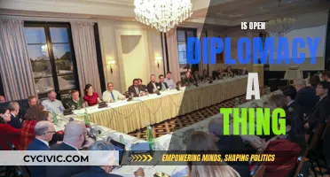 Open Diplomacy: A Realistic Approach or Pipe Dream?