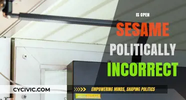 Is 'Open Sesame' Politically Incorrect? Exploring Cultural Sensitivity in Language