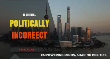 Is 'Oriental' Offensive? Exploring the Political Correctness Debate