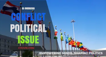 Overseas Conflict: A Divisive Political Issue or Global Responsibility?
