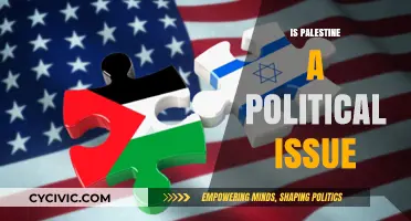 Palestine: A Complex Political Issue or Global Responsibility?