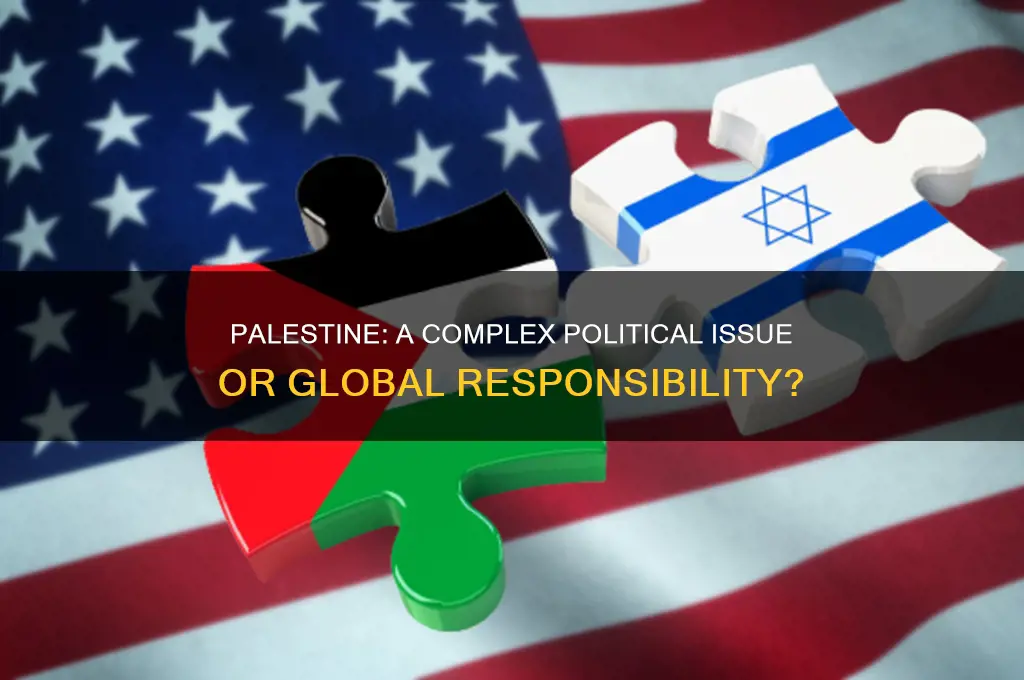 is palestine a political issue