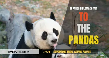 Panda Diplomacy: Exploiting Pandas for Political Gains?