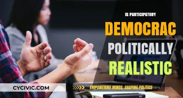 Is Participatory Democracy Feasible in Today's Political Landscape?