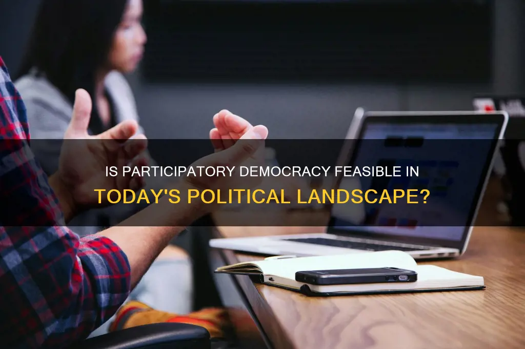 is participatory democracy politically realistic