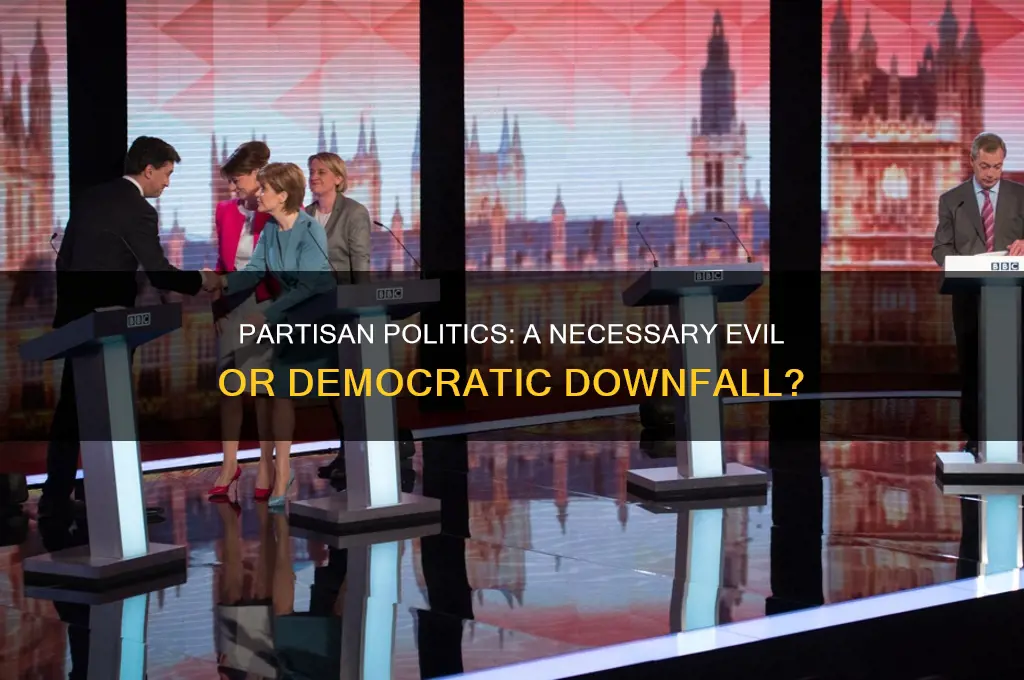 is partisan politics bad