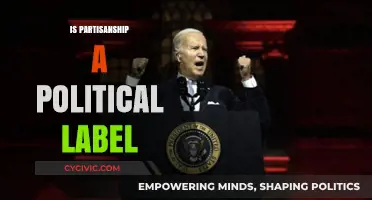 Is Partisanship a Political Label or a Divisive Force?