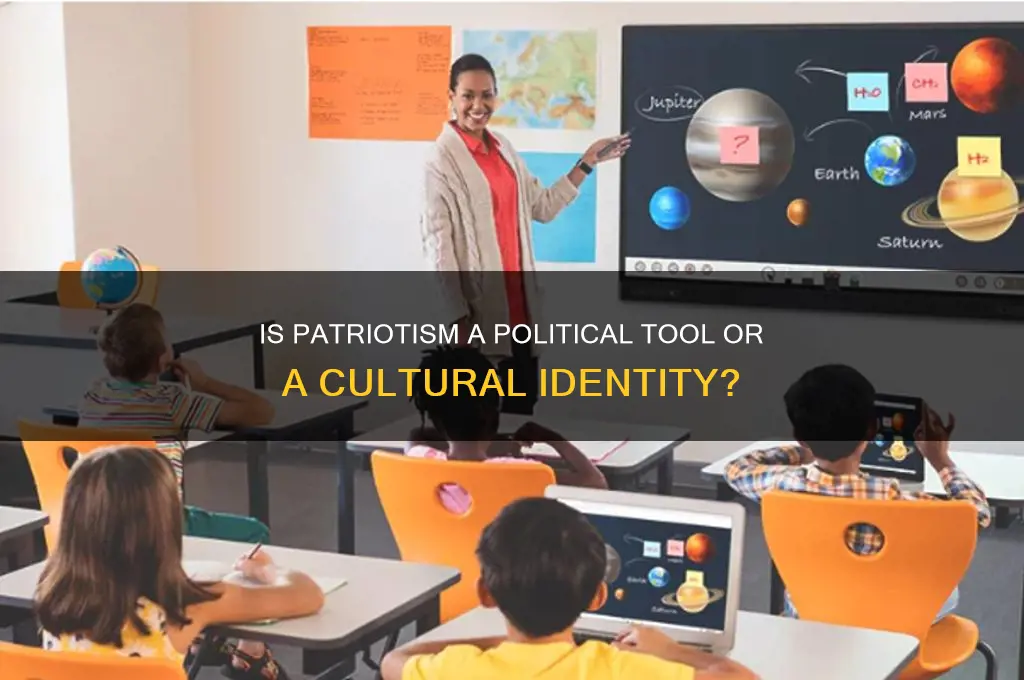 is patriotism a political idea