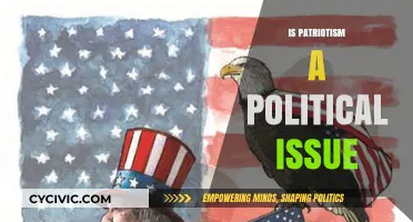 Is Patriotism a Political Issue? Exploring the Intersection of Love and Policy