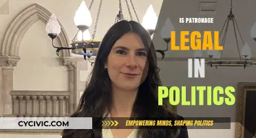 Is Political Patronage Legal? Exploring Ethics and Legal Boundaries
