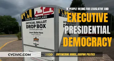 Legislative and Executive Presidential Democracy: People's Voting Power