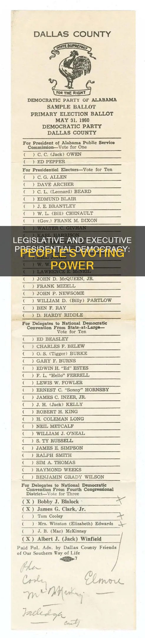 is people voting for legislative and executive presidential democracy