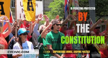 Picketing and the Constitution: What Are Your Rights?