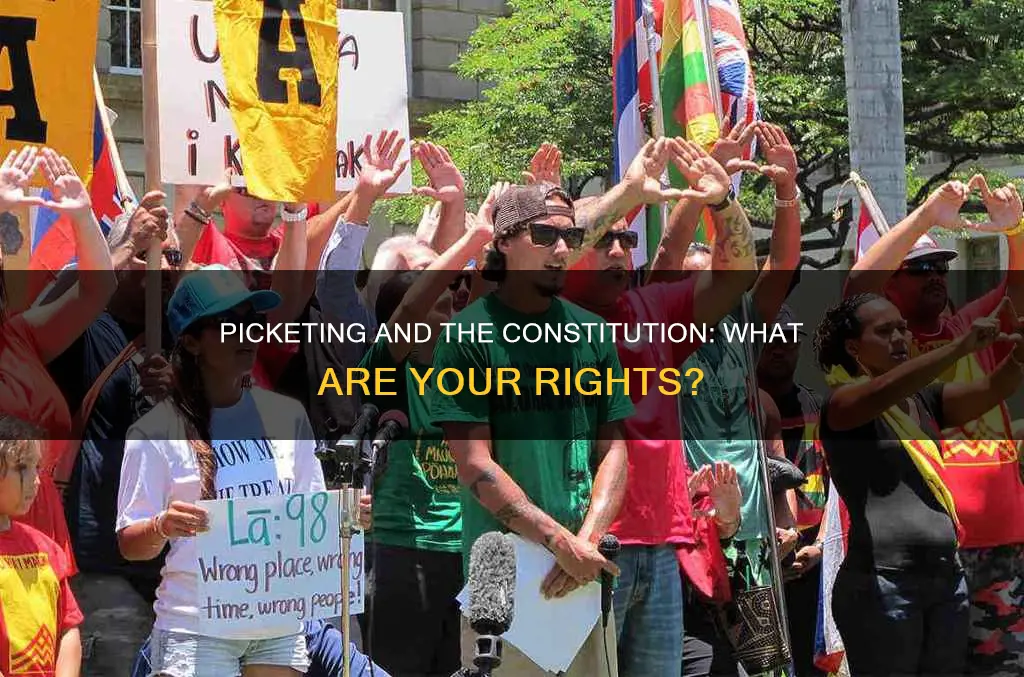 is picketing protected by the constitution