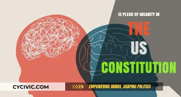Insanity Plea: A Constitutional Right or Wrong?