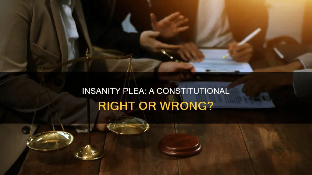 is plead of insanity in the us constitution