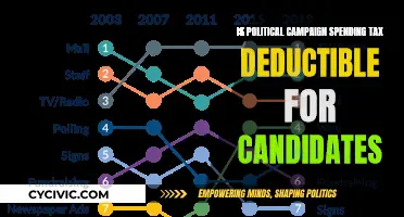 Tax Breaks for Political Candidates: Spending and Deductibles