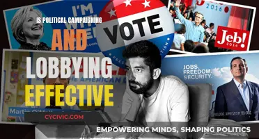 Political Campaigning and Lobbying: Effective Strategies?