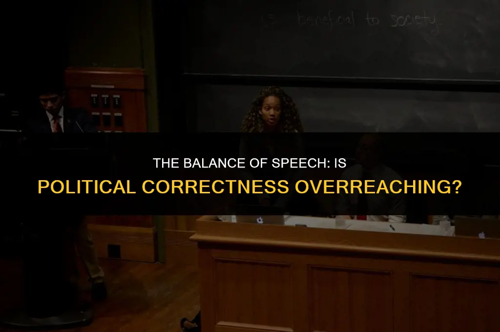 is political correctness going too far