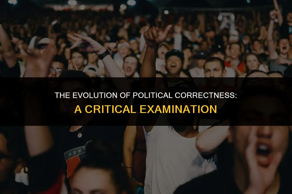 is political correctness gone