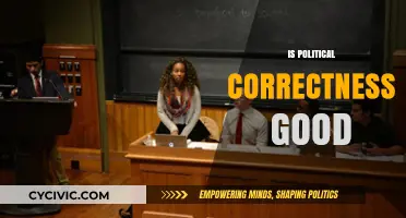 Navigating the Complexities of Political Correctness: A Balanced View
