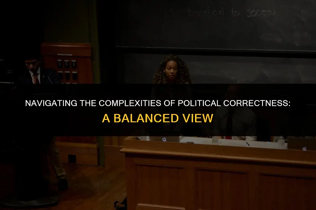 is political correctness good