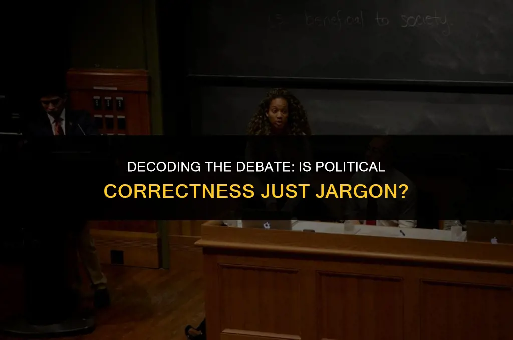 is political correctness jargon