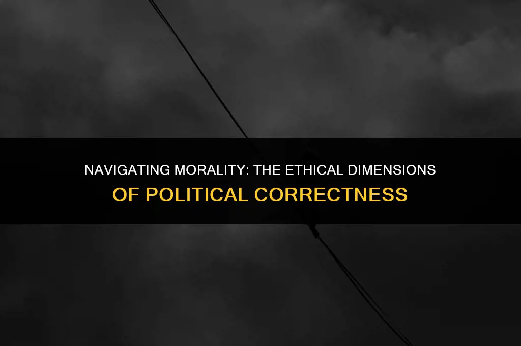 is political correctness moral