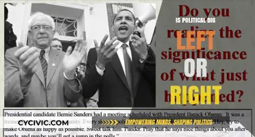 Decoding Political Compass: Is Dig Left or Right?