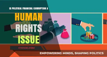 Financial Corruption in Politics: A Critical Human Rights Concern
