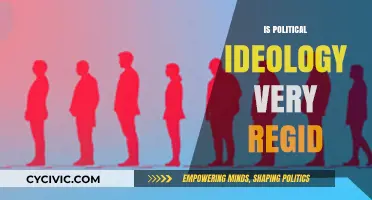 Are Political Ideologies Unyielding? Exploring Flexibility in Modern Beliefs