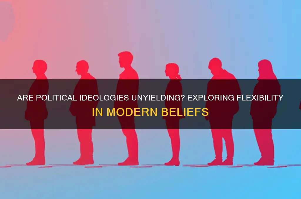 is political ideology very regid