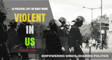 Examining Political Violence: Left vs. Right in the United States
