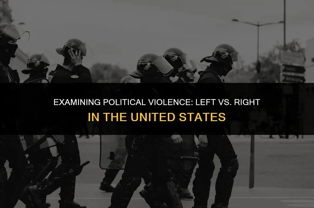 is political left or right more violent in us