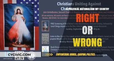 Exploring the Moral Landscape of Political Nationalism