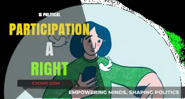 Democracy in Action: Is Political Participation a Fundamental Right?