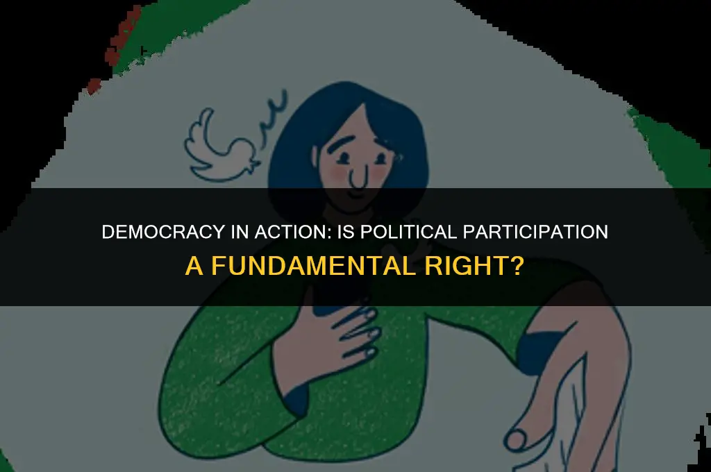 is political participation a right
