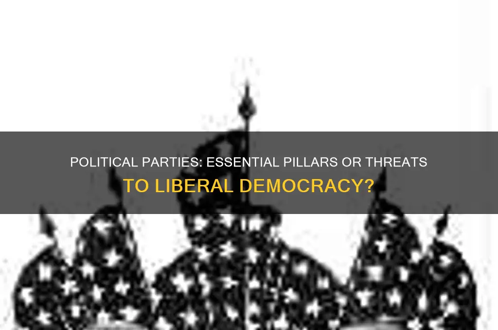 is political parties good or bad for liberal democracy
