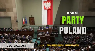Understanding Poland's Political Landscape: Parties, Influence, and National Identity