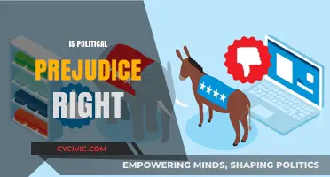 Navigating the Complex Landscape of Political Prejudice: Right or Wrong?