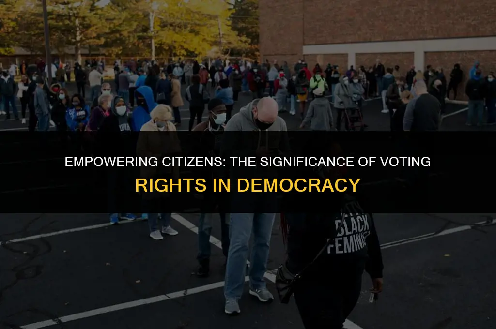 is political pwoer the right to vote