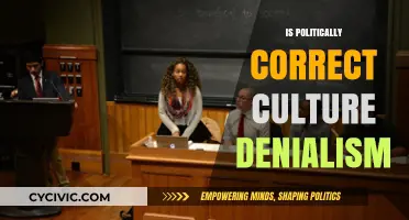 Navigating the Complexities of Political Correctness: A Critical Examination
