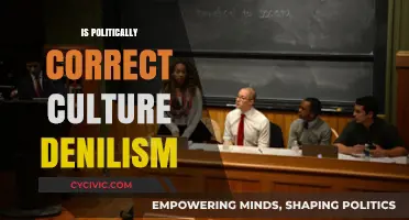 Navigating the Complexities of Political Correctness: A Critical Examination