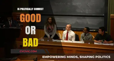 Navigating the Complex Landscape of Political Correctness: A Balanced View