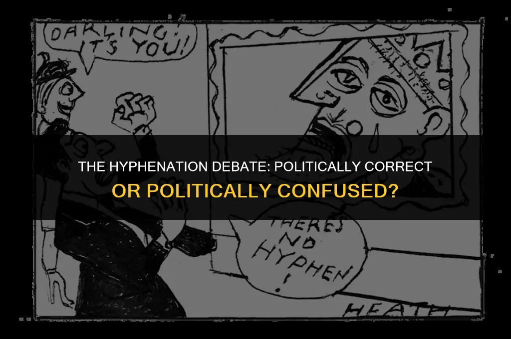 is politically correct hyphenated