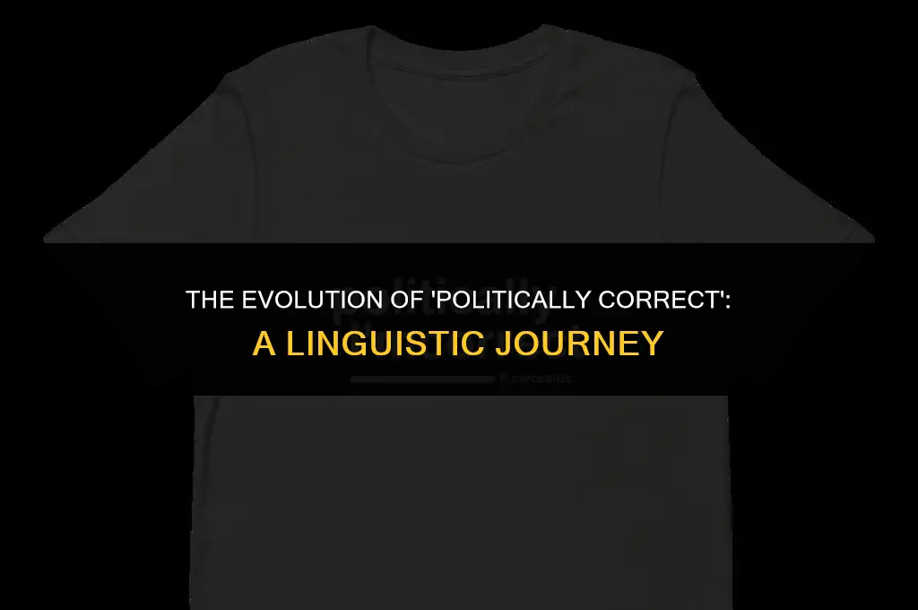 is politically correct in quotes