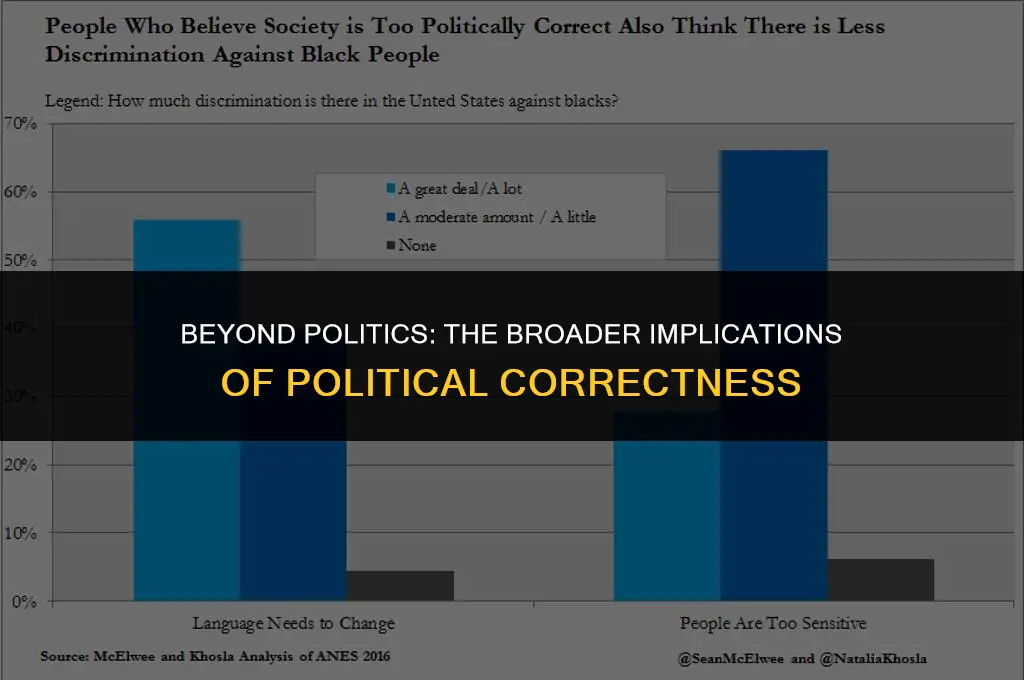 is politically correctness only for politics