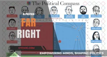 Exploring Politico's Ideological Leanings: Far Right or Mainstream?