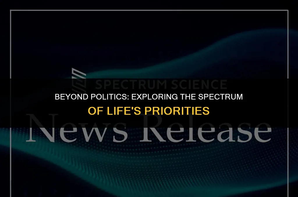 is politics the most important thing
