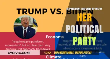 Is the President the Chief of Their Political Party?